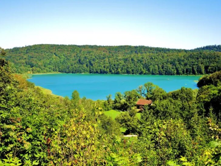 Espace botanique du Frasnois, Le Frasnois, France, France